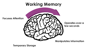 Put Your Working Memory to Work